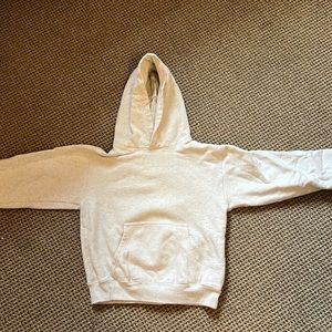 Aritzia perfect hoodie- heather light oatmeal